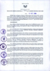 Vista preliminar de documento RGR N°00534-2019-GRDS