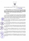 Vista preliminar de documento RGR N°00421-2019-GRDS