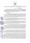 Vista preliminar de documento RGR N°00403-2019-GRDS