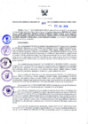 Vista preliminar de documento RGR N°00355-2019-GRDS