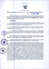 Vista preliminar de documento RGR N°00343-2019-GRDS