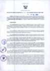 Vista preliminar de documento RGR N°00340-2019-GRDS