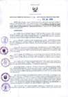 Vista preliminar de documento RGR N°00338-2019-GRDS