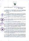 Vista preliminar de documento RGR N°00307-2019-GRDS