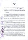 Vista preliminar de documento RGR N°00308-2019-GRDS