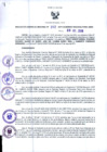 Vista preliminar de documento RGR N°00302-2019-GRDS