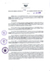 Vista preliminar de documento RGR N°00294-2019-GRDS