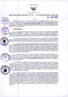Vista preliminar de documento RGR N°00229-2019-GRDS