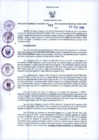 Vista preliminar de documento RGR N°0051-2019-GRDS