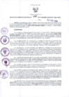 Vista preliminar de documento RGR N°0048-2019-GRDS