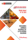 Vista preliminar de documento Boletín Laboral N° 01-2019