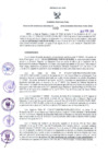 Vista preliminar de documento RGR N°0093-2018-GRDS