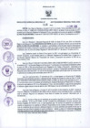 Vista preliminar de documento RGR N°0016-2018-GRDS