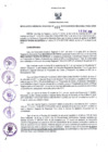 Vista preliminar de documento RGR N°0021-2018-GRDS