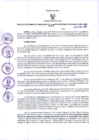 Vista preliminar de documento RGR N°002-2018-GRDS