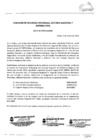 Vista preliminar de documento S/N/Acta