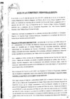 Vista preliminar de documento S/N/Acta