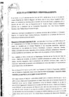 Vista preliminar de documento S/N/Acta