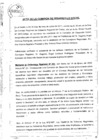 Vista preliminar de documento S/N/Acta