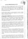 Vista preliminar de documento S/N/Acta