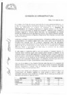 Vista preliminar de documento S/N/Acta