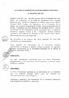 Vista preliminar de documento 009-2007/Acta