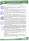 Vista preliminar de documento rgm 007.pdf