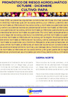 Vista preliminar de documento riesgo_agroclimatico_papa_OCT22.pdf