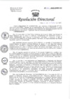 Vista preliminar de documento RESOLUCIÓN DIRECTORAL N° 261.pdf