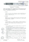 Vista preliminar de documento Directiva N° 001-2019-MTC/24