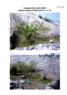 Vista preliminar de documento P06219001-TERRENO-AREA-VERDE-PUEBLO-JOVEN-LAS-MELLIZAS-MZ-H-LT-10.pdf