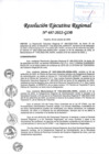 Vista preliminar de documento RER-487-2022.pdf
