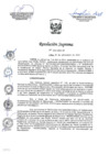 Vista preliminar de documento 154-2022-IN
