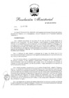 Vista preliminar de documento RM N° 335-2019-PCM