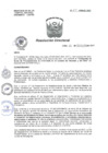 Vista preliminar de documento RD N° 411-HNAL/D-2017.pdf