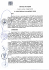 Vista preliminar de documento Ordenanza N° 534-MDSMP.pdf