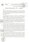 Vista preliminar de documento rgm_141_2022.pdf