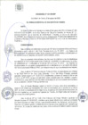 Vista preliminar de documento Ordenanza N° 541-MDSMP.pdf