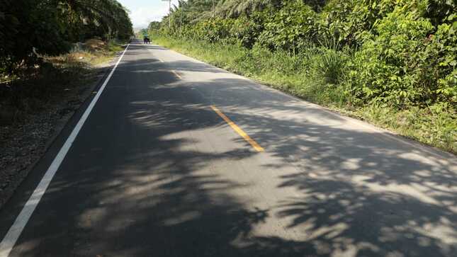 Asfaltado de la carretera Villa Palma