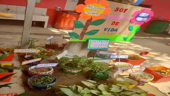 Jardines con tematica