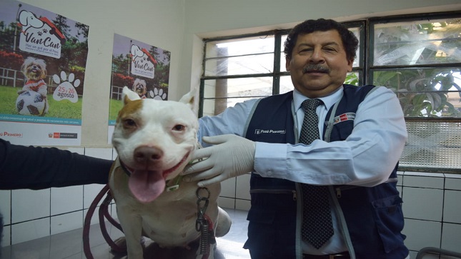 EN la foto se ve personal del Minsa con un perro a punto de ser vacunado.