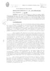 Vista preliminar de documento RESOLUCION GERENCIAL GDUyR 115-2022.pdf