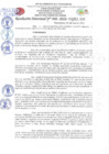 Vista preliminar de documento RD 960.pdf