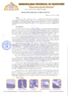 Vista preliminar de documento Resolución Gerencial N.º 002-2019-GI-MPH-M