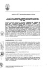 Vista preliminar de documento 017-2009/Gerencia General Regional