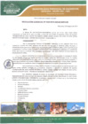 Vista preliminar de documento  Resolución Gerencial N.º 018-2019-GIDUR-MPH-M