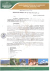 Vista preliminar de documento  Resolución Gerencial N.º 019-2019-GIDUR-MPH-M