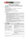 Vista preliminar de documento BASES