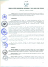 Vista preliminar de documento RESOLUCIÓN GERENCIAL GENERAL N° 002-2009/GRP-PEIHAP.pdf