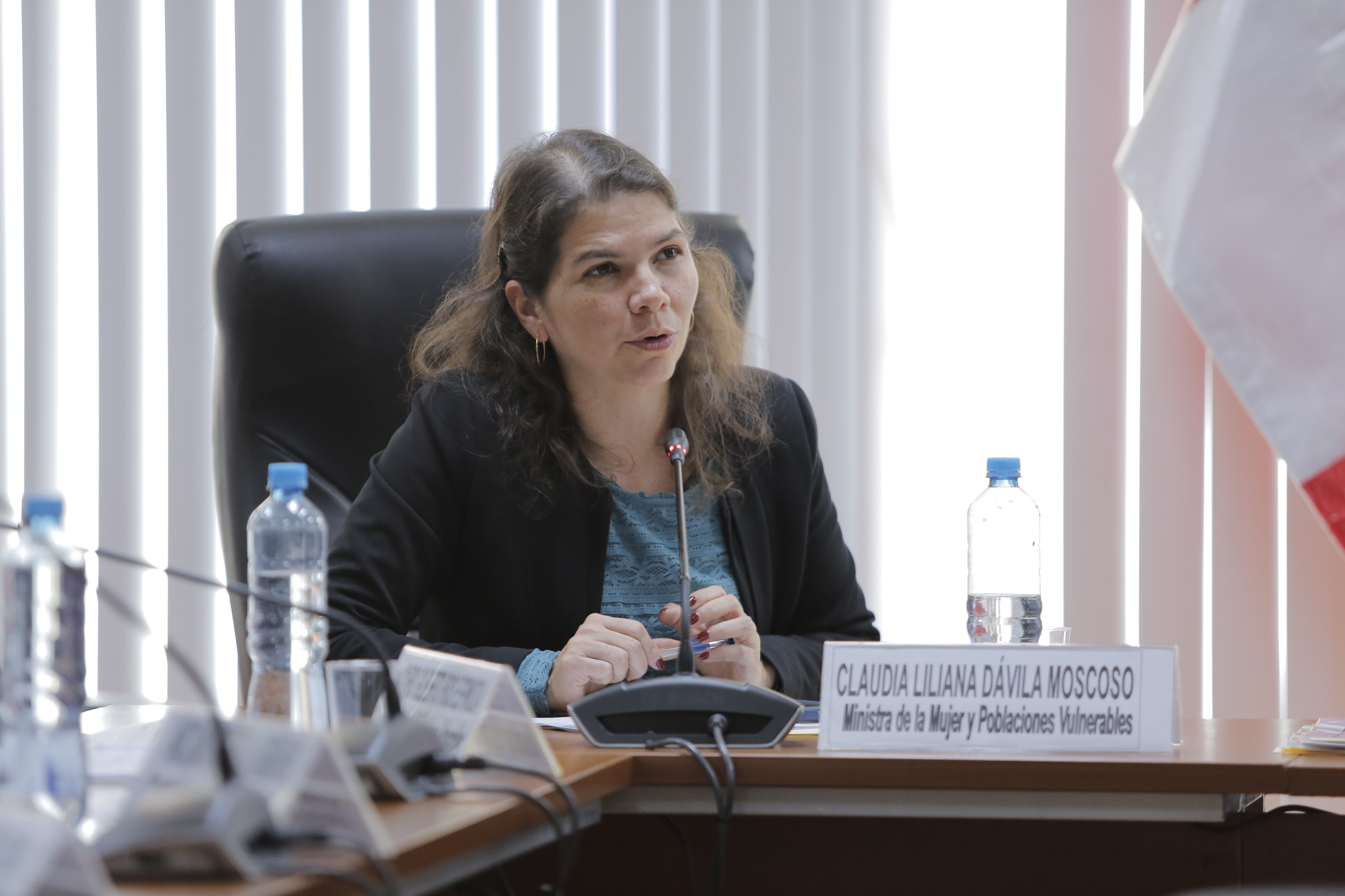 Ministra Claudia Dávila asiste a la comisión de Inclusión Social y Personas con Discapacidad del Congreso